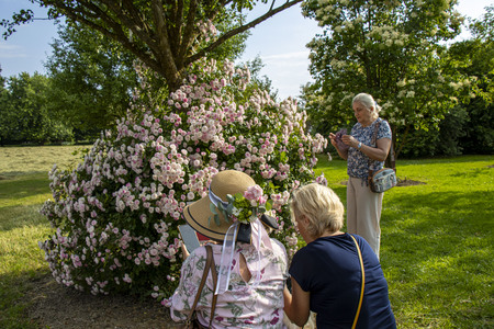 Frau Eva Schubert - glasovanje 1 foto Mateja Račevski